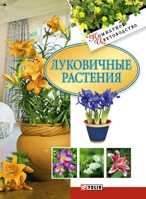 Уход и выращивание комнатных растений | максим фёдоров | Дзен
