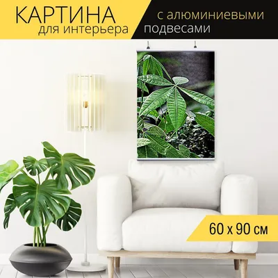 Картина для интерьера на холсте \"Комнатные растения\", 60 x 90 см, с  алюминиевыми подвесами, в тубусе, картина в подарок для дома, декор для  дома - купить по низкой цене в интернет-магазине OZON (713801341)