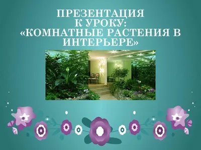 Самые необычные комнатные растения | Garden-Zoo.ru | Дзен