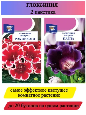 Глоксинии Урожай удачи Дивный сад - купить по выгодным ценам в  интернет-магазине OZON (805250323)