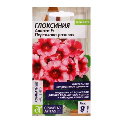 Семена комнатных цветов Глоксиния Аванти \"Персиково-розовая\", F1, 8 шт.  (2858900) - Купить по цене от 102.00 руб. | Интернет магазин SIMA-LAND.RU