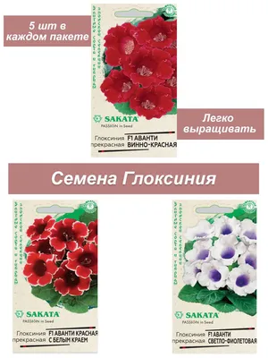 Разнообразные комнатные, Глоксинии Гавриш Набор семян, комнатных цветов  Глоксиния - купить по выгодным ценам в интернет-магазине OZON (243742120)