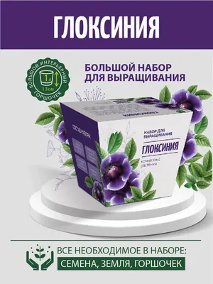 Глоксиния: истории из жизни, советы, новости, юмор и картинки — Все посты |  Пикабу
