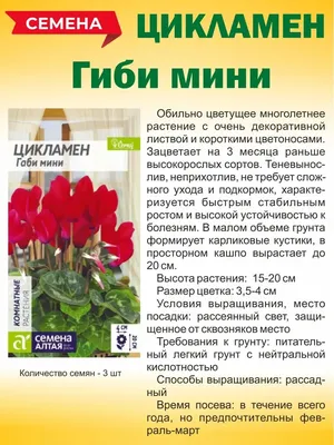 Глоксиния НГ-Чинзано. Клубень — купить в Красноярске. Горшечные растения и  комнатные цветы на интернет-аукционе Au.ru