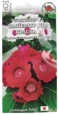 Купить - Цветы Глоксиния Брокада Синяя F1/Сем Алт/цп 8 шт.. Alsemya.ru -  интернет магазин семян и саженцев, газонов и удобрений!