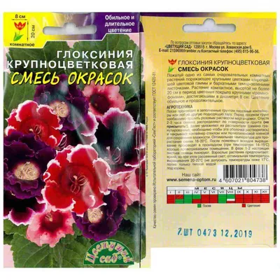 Глоксиния – уход, размножение и проблемы выращивания. | Домадил -  DomaDeaL.Ru Рецепты, комнатные растения, советы | Дзен