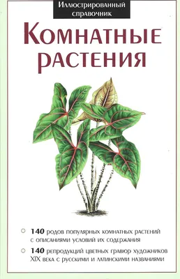 Комнатные растения для выращивания в тёмных уголках квартиры | Дачник.RU |  Дзен