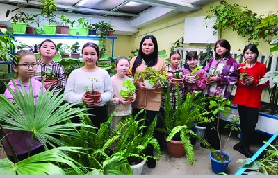 Комнатные цветы из семян: какие цветы можно вырастить дома из семян -  Agro-Market24