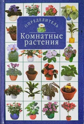 Комнатные растения. Определитель | Титова Ксения Дмитриевна - купить с  доставкой по выгодным ценам в интернет-магазине OZON (1053718905)