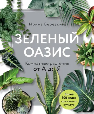 Зеленый оазис. Комнатные растения от А до Я (Ирина Березкина) - купить  книгу с доставкой в интернет-магазине «Читай-город». ISBN: 978-5-04-098786-3