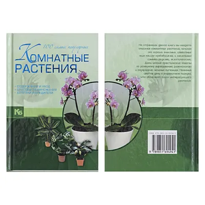 Комнатные растения. 100 самых популярных в Архангельске – купить по низкой  цене в интернет-магазине Леруа Мерлен