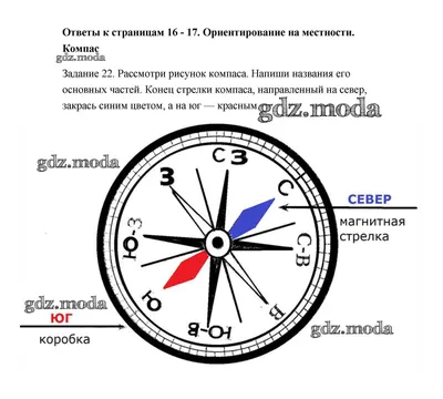 Компас туристический складной Следопыт купить в Минске