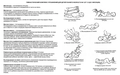 Физическая культура в Нестерянской школе: Комплексы общеразвивающих  упражнений