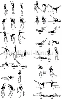 Общеразвивающие Упражнения Картинки И Описание – Telegraph