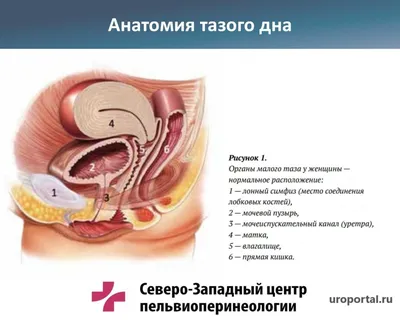 Настройка пид-регулятора частотного преобразователя