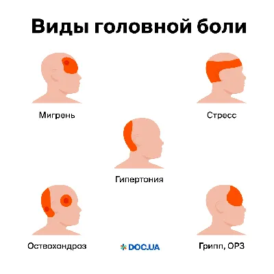 Как правильно качать плечи? Программа лучших упражнений на дельты |  Фитсевен | Дзен