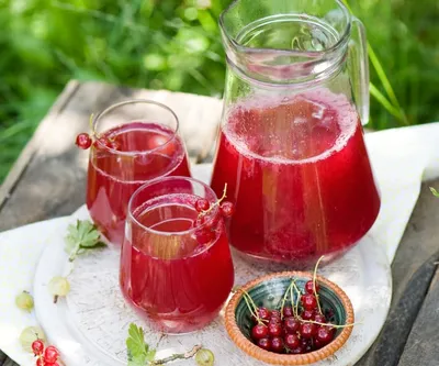 Red Currant Kompot - Katie at the Kitchen Door