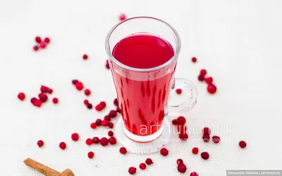 Polish Redcurrant Kompot - CookINPolish – Polish Food Recipes