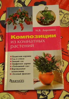 Комнатные растения: рейтинг лучших видов. — Ozon Клуб