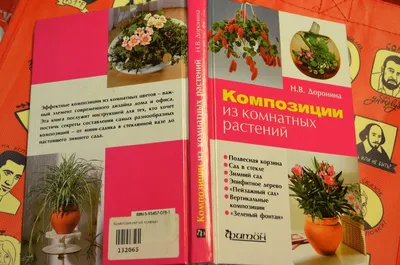 Контейнерные цветники на балконе, подоконнике и на даче, эффектные  сочетания | Houzz Россия