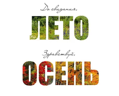 Как пережить конец лета и начало осени? | Христианство и смысл жизни | Дзен