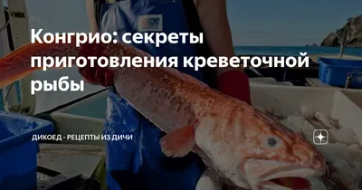 Интернет магазин TastyFish - Конгрио креветочная рыба (кг)