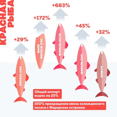 Конгрио тушка Креветочная потрошеная без головы 1 кг - \"По-Рыбке\" -  интернет-магазин морепродуктов, рыбной и снековой продукции. - По-Рыбке