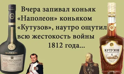 Прикольные картинки про коньяк (50 фото) » Юмор, позитив и много смешных  картинок