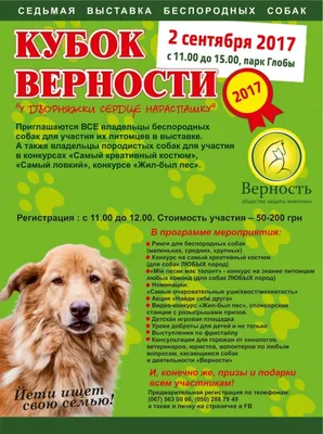 Выставка собак SOCHI DOG SHOW-2018 в Сочи » Олимпийский парк Сочи —  официальный сайт