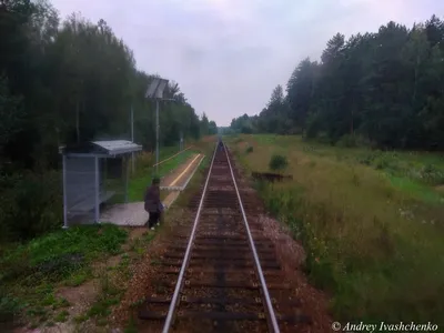 Поездка по железнодорожной линии Ижевск-Воткинск. | Прохожий с  фотоаппаратом | Дзен