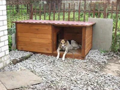 Конура для собаки своими руками