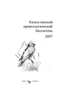 Кобчик птица года 2021. » МБУК «Унинская Центральная библиотека»