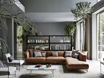 Коричневый диван в интерьере, фото с идеями дизайна