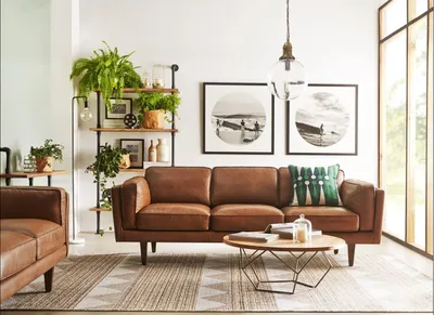 Коричневый диван в интерьере – фото, идеи оформления, особенности дизайна  комнат с коричневым диваном