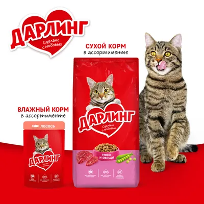 Сухой корм для кошек