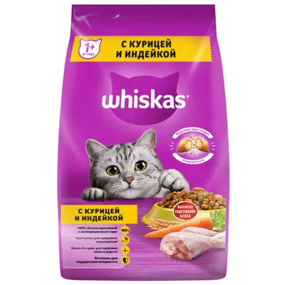 Корм для кошек Brit 2кг Premium Cat Sterilized Salmon and Chicken для  стерилизованных с лососем и курицей сухой купить по цене 1003 ₽ с доставкой  в Москве и России, отзывы, фото