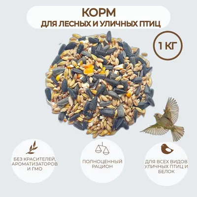 корм для птиц уличных, диких, лесных в кормушку на окно 5кг Wild Bird  139441800 купить за 578 ₽ в интернет-магазине Wildberries