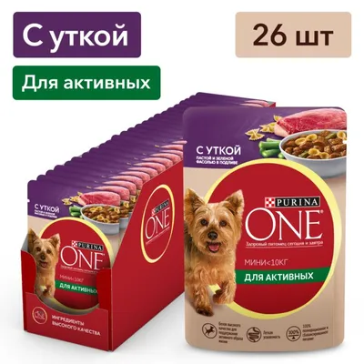 Pedigree полнорационный сухой корм для собак, с говядиной | Купить в Москве