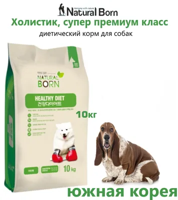 Купить Влажный корм Monge Dog Fresh для собак, с лососем, консервы 100 г в  интернет-магазине Monge