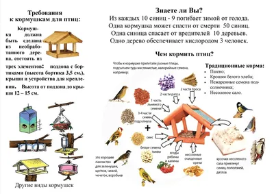 Заботясь, не навреди: чем и как можно кормить птиц зимой? - Телеканал «О!»