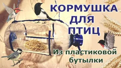 Кормушка для птиц уличная Garden Show Бункер - «Недорогая и, в целом,  удачная сетчатая кормушка для крупного корма, нуждающаяся в небольшой  доработке» | отзывы