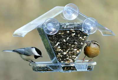 Кормушка из старого чайника | Bird feeders, Tea cup bird feeder, Unique  bird feeders