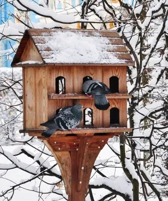 Кормушка для птиц на окно \"Эстет вертикаль\" | Арт кормушка