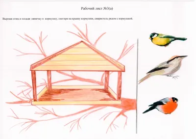 Как сделать кормушку для птиц своими руками | Эксперт Башкортостан | Дзен