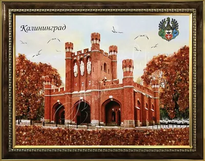 Открытие Королевских ворот после реставрации в Калининграде | РИА Новости  Медиабанк