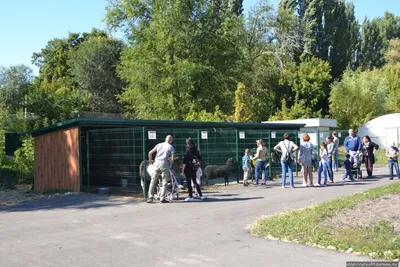 Отзыв о Снежный парк в Корольковом саду (Россия, Саратов) | Можно  покататься всей семьей. Надеюсь, что к следующей зиме его сделают более  интересным и безопасным!