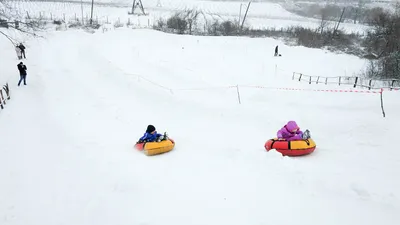 Экскурсия в Корольков сад - Официальный сайт ГБУ СОДО \"ОЦЭКИТ\"