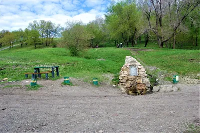 Корольков сад ночью - Денис Аникин