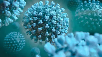 Up Close With The Enemy: The Coronavirus In Stunning Detail