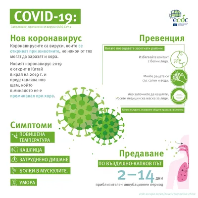 Коронавирус COVID–19 Единая горячая линия: 8-800-2000-112